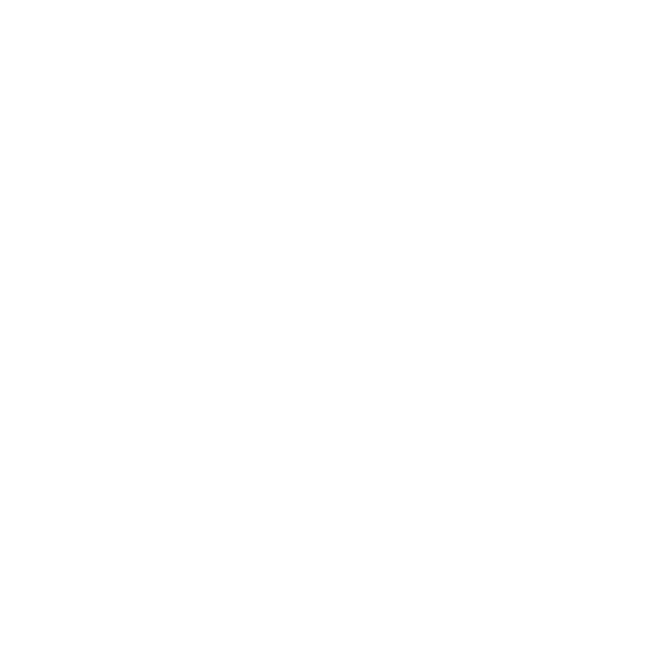 The Travel Society
